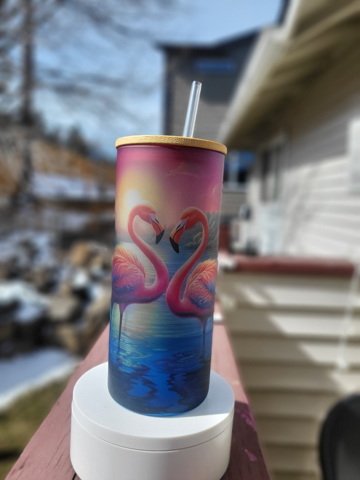 Flamingo Paradise